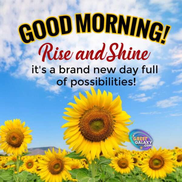 Good Morning! Rise And Shine—it's A Brand New Day Full Of Possibilities!