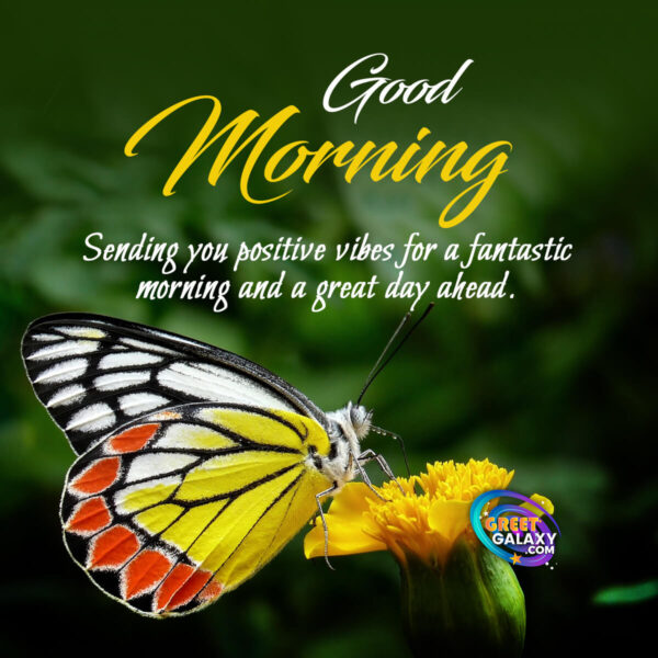 Sending You Positive Vibes Good Morning