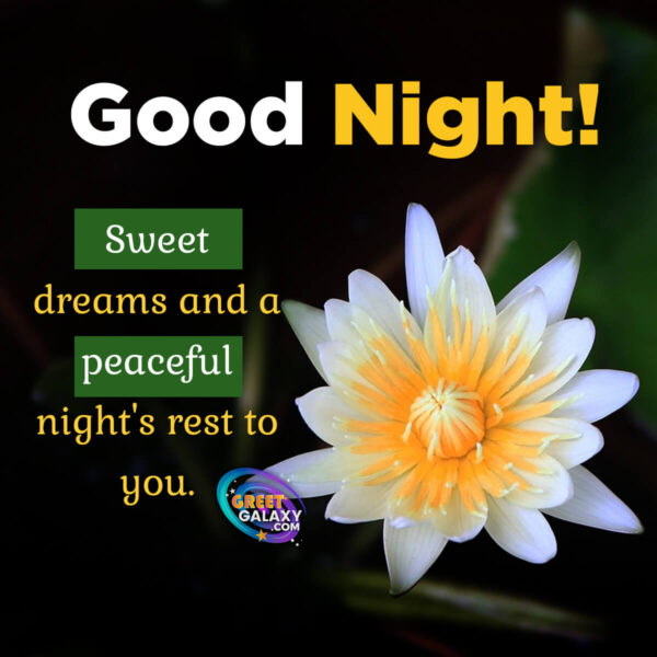 Sweet Dreams And A Peaceful Night Good Night