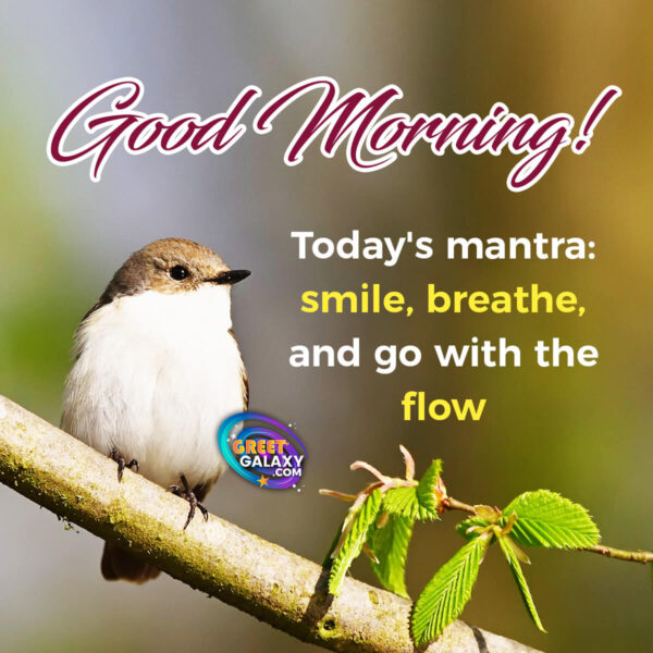 Today's Mantra Smile, Breathe, And Go With The Flow Good Morning
